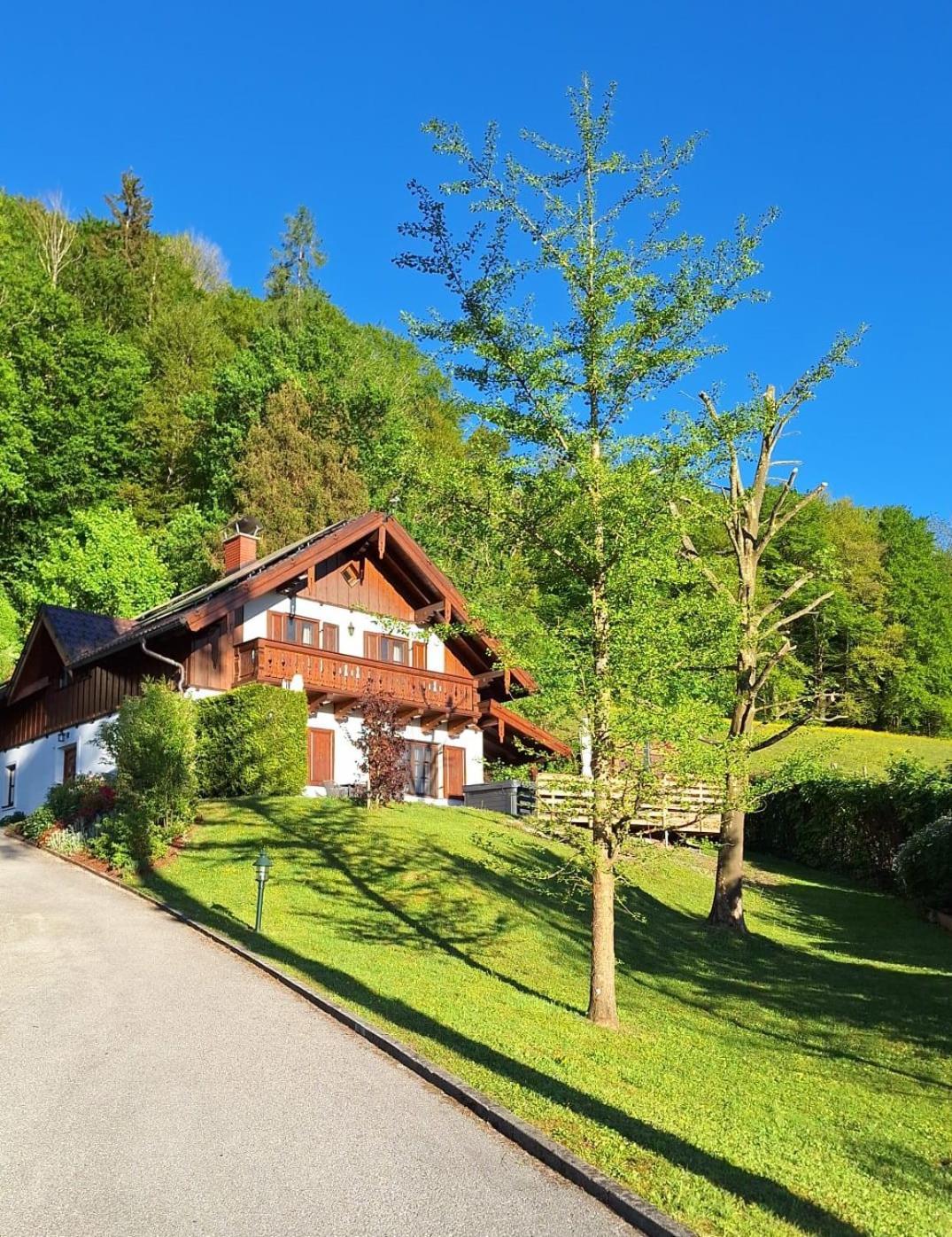 Luxus Alpenparadies Nahe Salzburg Sauna & Whirlpool Adnet Kültér fotó